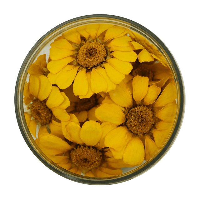 Obrázek produktu ROSIE ROSE - SUŠENÉ KVĚTY KOPREJKY ŽLUTÉ 15ks