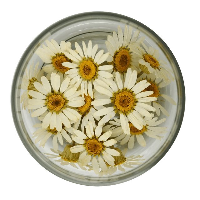 Obrázek produktu ROSIE ROSE - SUŠENÉ KVĚTY SEDMIKRÁSKY 15ks