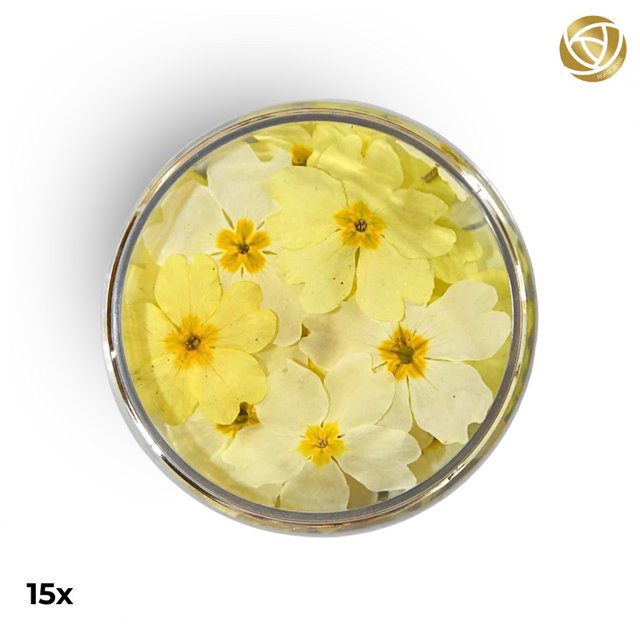Obrázek produktu ROSIE ROSE - SUŠENÉ KVĚTY PRVOSENKA (Primule) 15ks