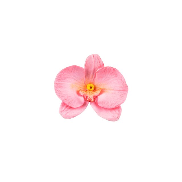 Obrázek produktu SIL FORMA SILIKON NA CUKROVOU HMOTU - LIST ORCHIDEJE 3D