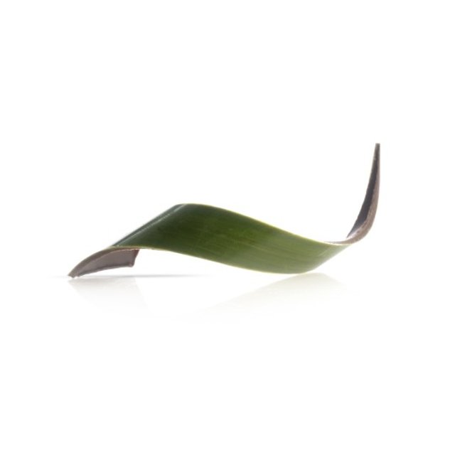 Obrázek produktu DOBLA DEKOR TWIST ZELENÝ 8,4x2cm 80ks