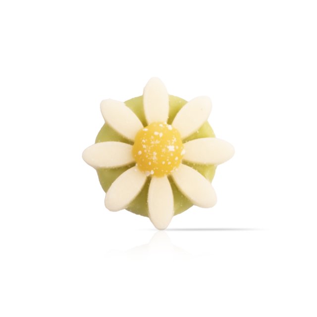 Obrázek produktu DOBLA DEKOR SEDMIKRÁSKA DAISY pr.2cm 200ks