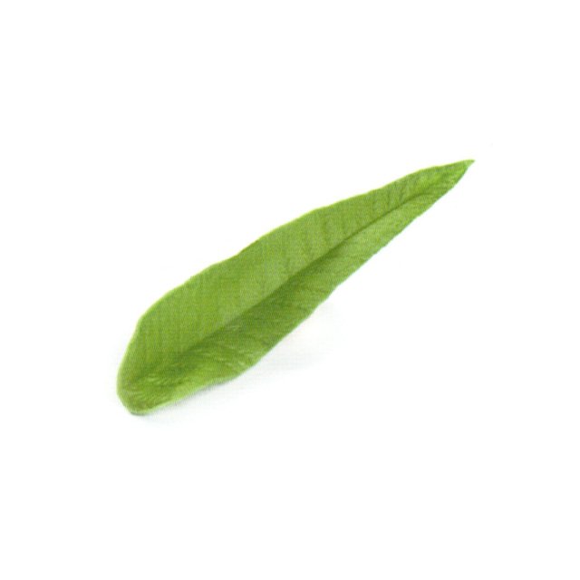 Obrázek produktu SIL FORMA SILIKON NA CUKROVOU HMOTU - LIST 3D