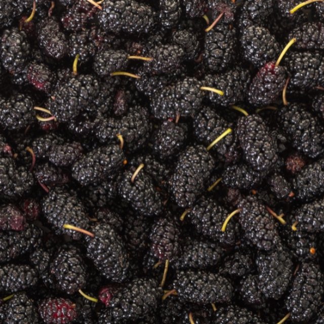 Obrázek produktu MORUŠE MRAŽENÉ 10kg DOPRODEJ AKCE 50% DMT5/26