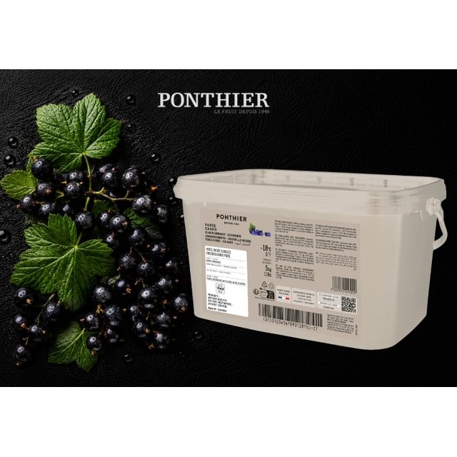Obrázek produktu PONTHIER MRAŽENÉ PYRÉ ČERNÝ RYBÍZ Noir de Bourgogne 5 kg