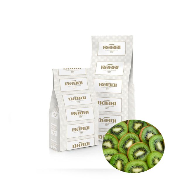 Obrázek produktu BABBI FRUTTAFRUTTA Kiwi - kompletní mix na zmrzlinu 8x1,25kg