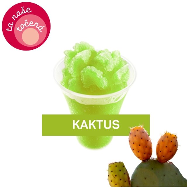 Obrázek produktu ALMECO LEDOVÁ TŘÍŠŤ KAKTUS 16x750g