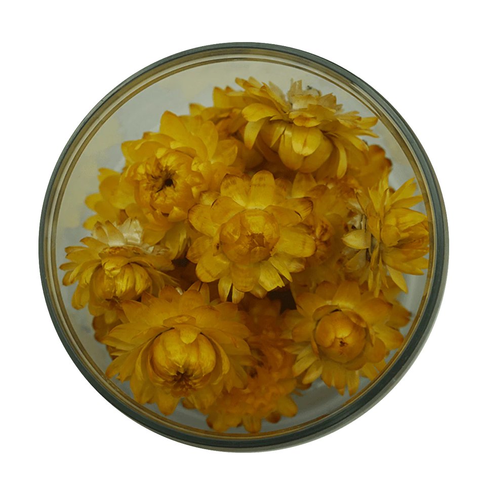 strohblumen_gelb.jpg