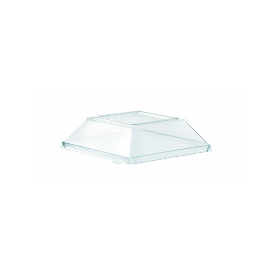 261_8c_1.jpg