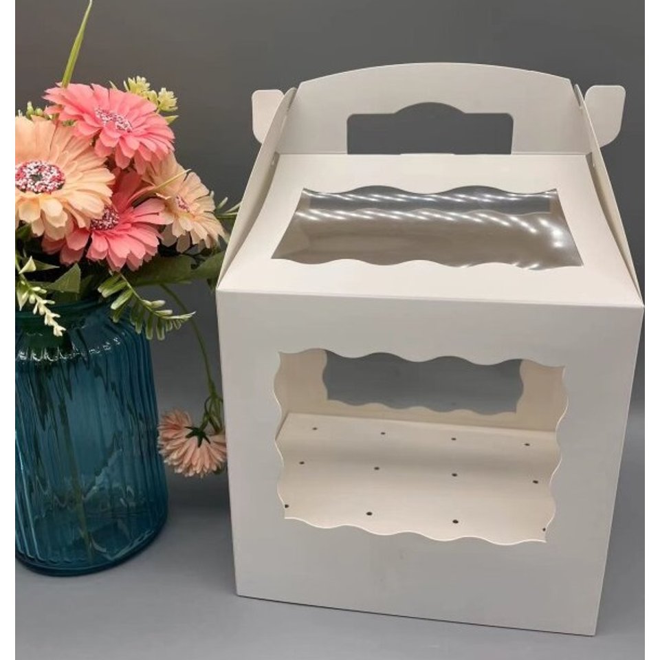 cake-pop-transport-box-lolly-geschenkebox-216-x-1524-x-203-cm.jpg