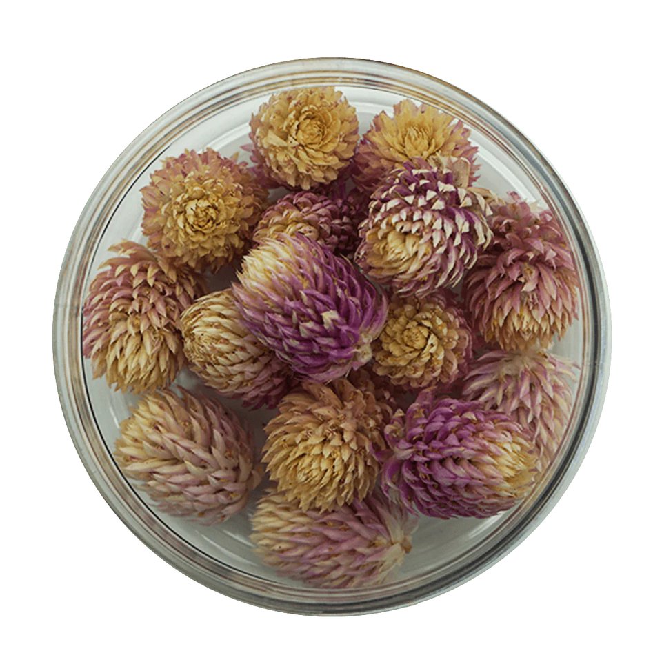 kugelamarant_rosa.jpg