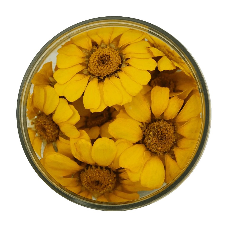 margaritten-gelb.jpg