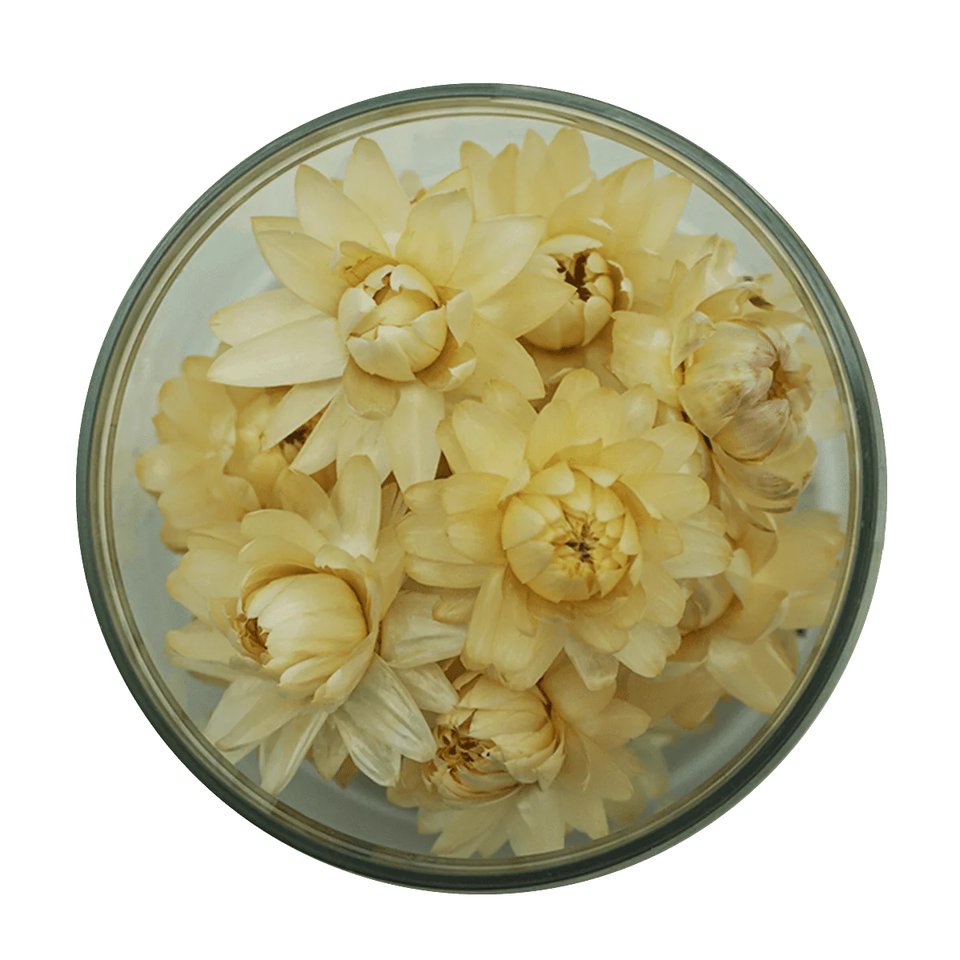 strohblumen_weiss.jpg