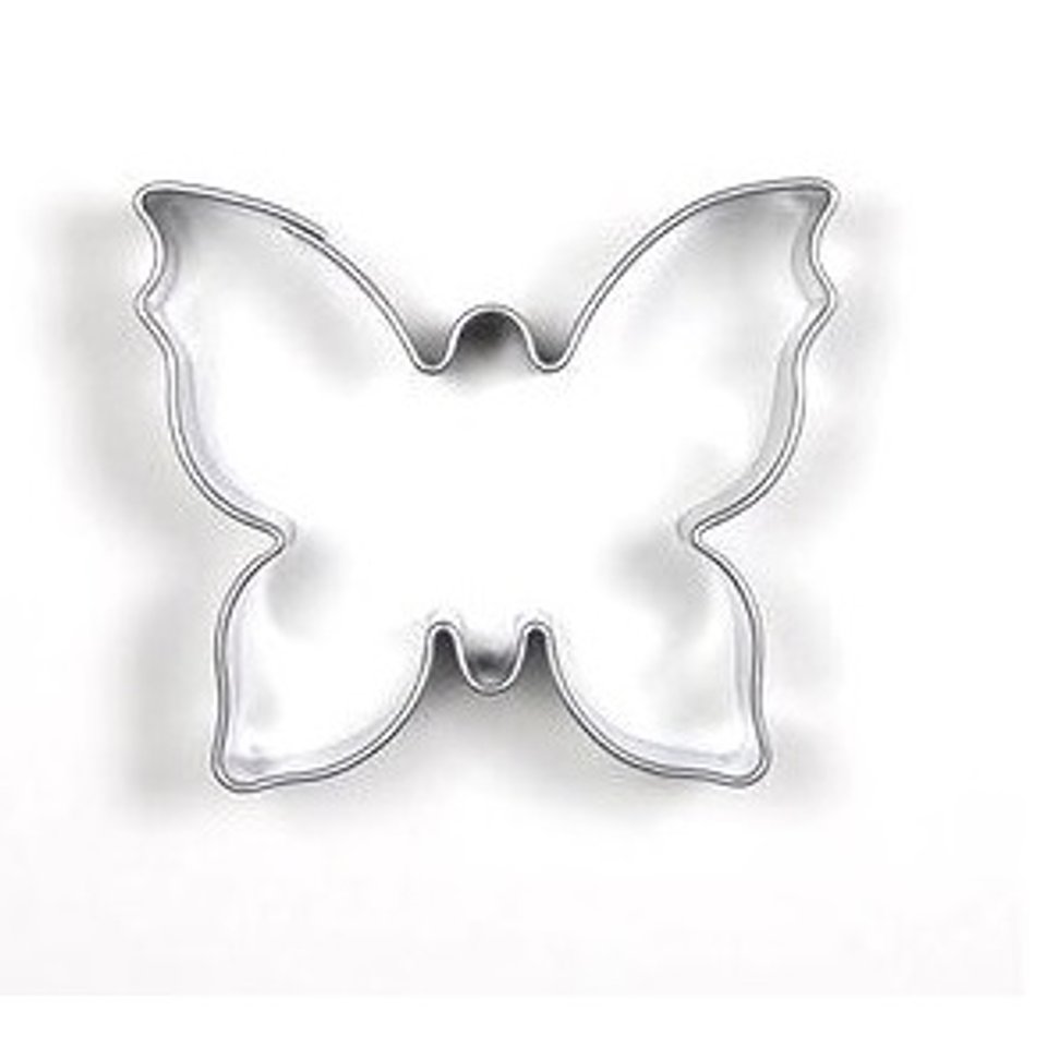motyl.jpg